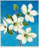 Western Dogwood