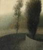 Wooded Path