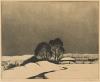 Winter Stream