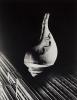 City Shell (Photomontage). 1938; printed 1977