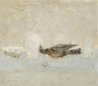 Still life with bird, head and shell