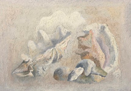 Still life with shells