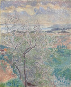 L'Amandier de l'Averne, Bormes