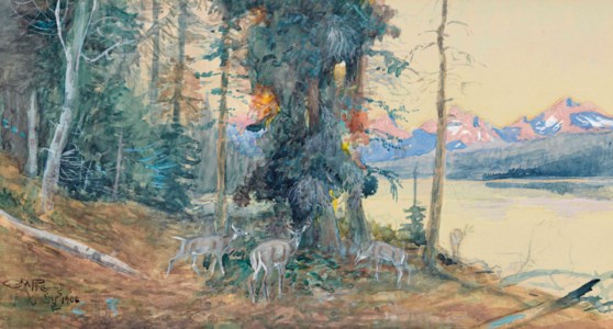Deer at Lake McDonald