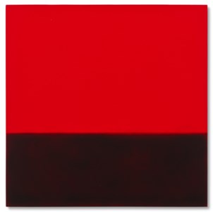 Untitled (Amazon Landscape)