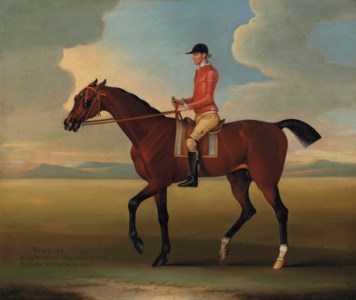 Traveller with Stephen Jefferson up, in a landscape