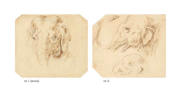 Head of an elephant ( recto ); Study of a hound's head ( verso ); and Two studies of an elephant's head in profile