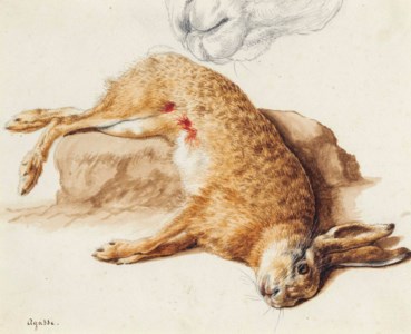Still life of a dead hare, with a subsidiary study of its nose
