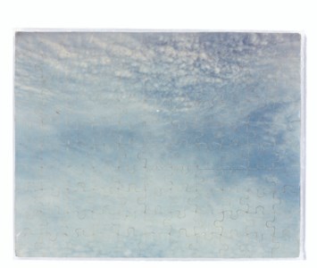 "Untitled" (For White Columns)