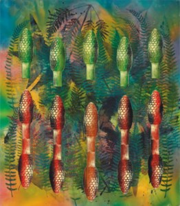 Sphenopsida