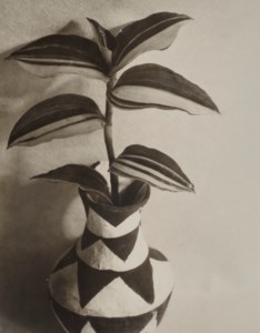 Wandering Jew, c. 1920s