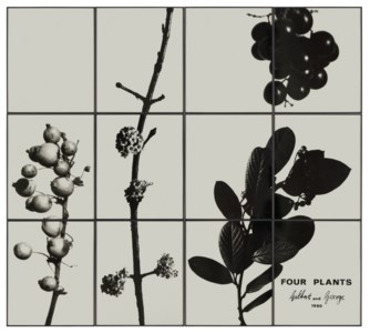Four Plants, 1980