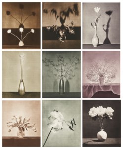 Flowers, 1983