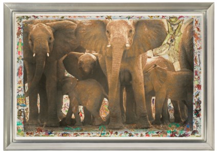 Elephant Family at Buffalo Springs (Buffalo Springs Cow Ele Herd) June, 1960