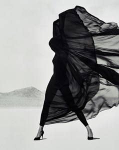 Versace, Veiled Dress, El Mirage, 1990