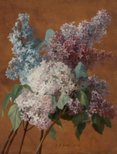 A study of lilacs