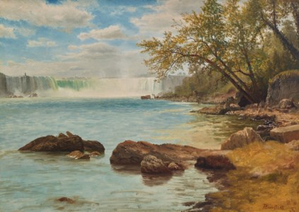 Niagara Falls with Terrapin Tower