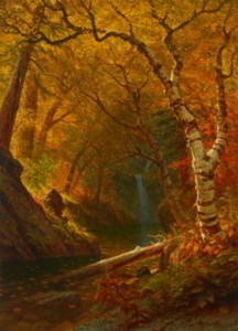 Woodland Pool