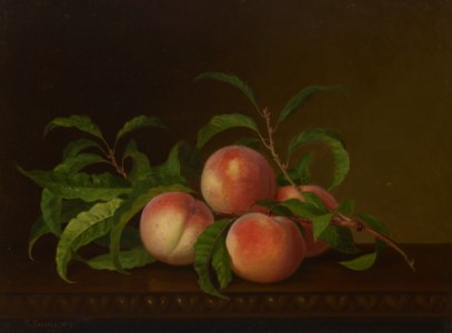 Still Life with Peaches
