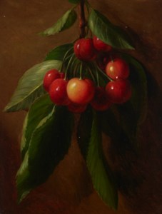 Cherries on a Branch