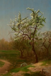 Sketch from Nature: Pear Tree in Blossom