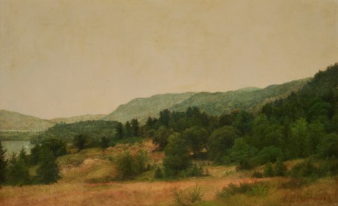 Landscape