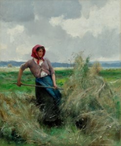 Haymaking