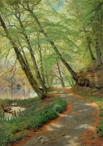 Wooded path by a river
