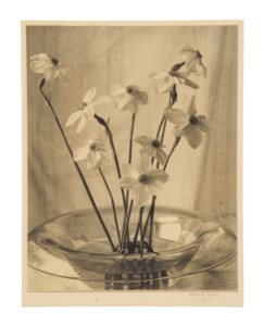 Narcissus, 1926