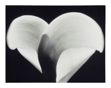 Lily, c. 1930