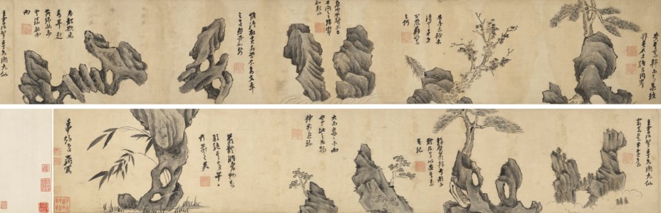 Pine and Rock