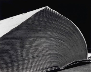 Dictionary, 1994