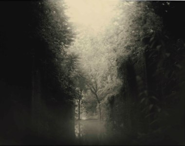 Untitled from Mother Land: Virginia , 1994