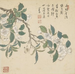 Pear Blossoms and Butterfly