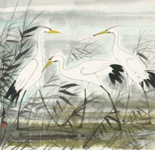 Egrets on Reeds Pond
