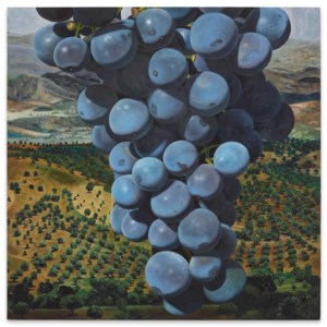 Trauben (Grapes)