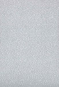 Roman Opalka, 1965/1-∞ detail-1194480-1215202