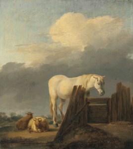 A grey horse at a gate with sheep