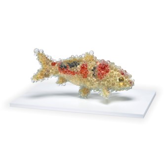 PixCell-Carp #5