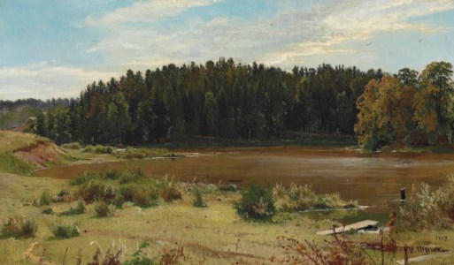 River on the edge of a wood