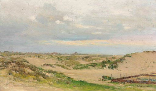 Vue des dunes de St Idesbald après le coucher de soleil
