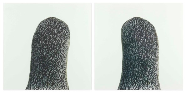 Untitled, No. 4