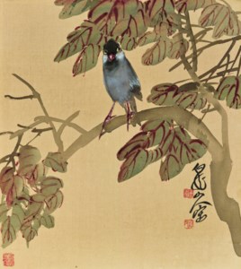 Bird