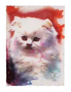 Untitled (Cat)