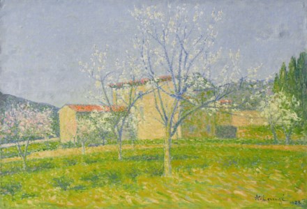 Verger en fleurs à Alet-les-Bains (Aude)
