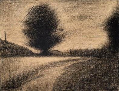 Arbre et route
