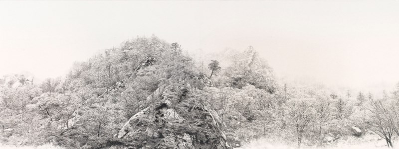 Auspicious Snow 2