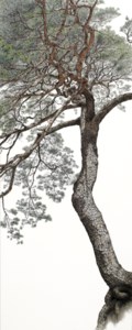 An Auspicious Pine Tree