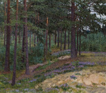 Floraison de la Brouyere