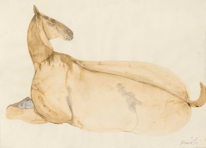 Lying down horse